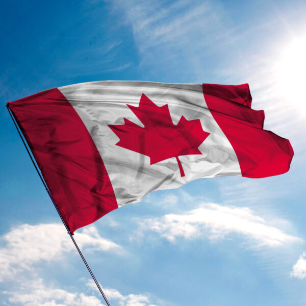 Direct Billing to Veterans Affairs