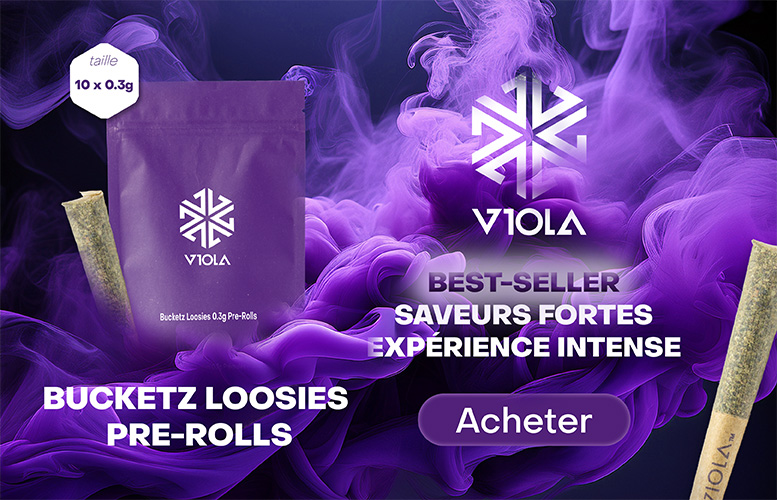 Viola Bucketz Loosies Pre-Rolls. Best-seller saveurs fortes experience intense