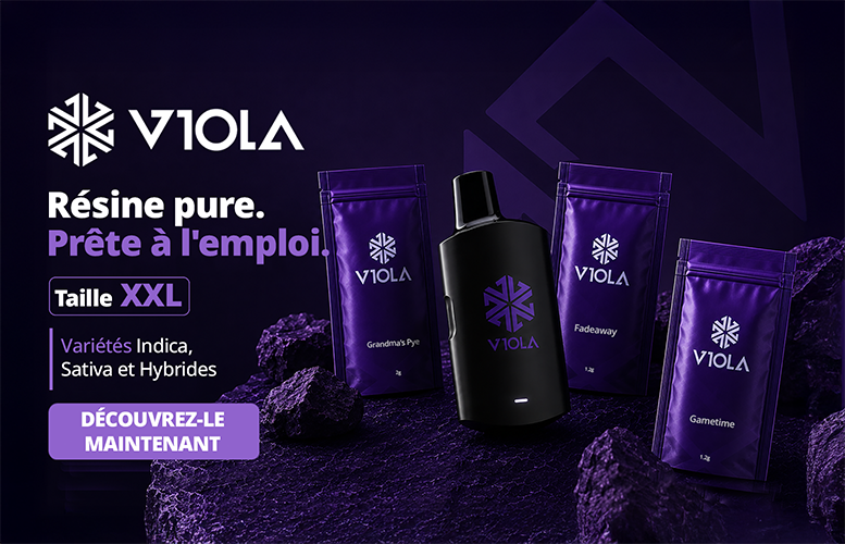 Viola. Resine pure. Prete a l'emploi. Taille XXL. Varietes Indica, Sativa et Hybrides.